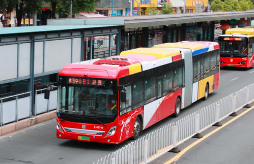 什么是BRT专用车道 不小心驶入会有什么后果